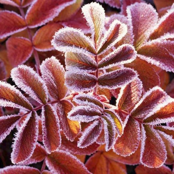 Meet your Posher, Michele - Picture 1 of 1